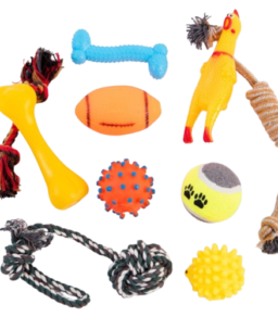 1729832427DNQNP918422MLM71117837586082023Ojpg-removebg-preview